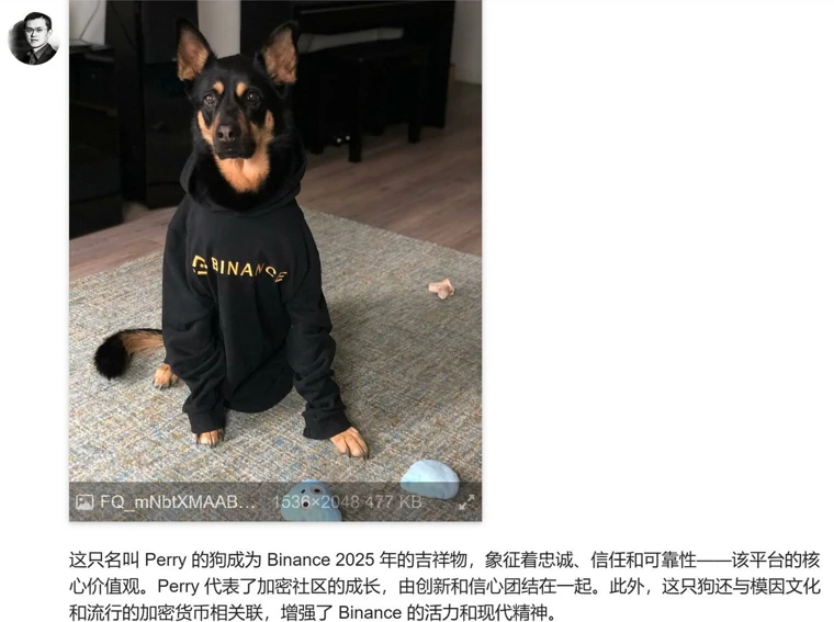 CZ回应宠物狗引发的Meme币热潮