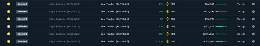 Whale builds a $5M position on CZ's unofficial dog token, Broccoli.