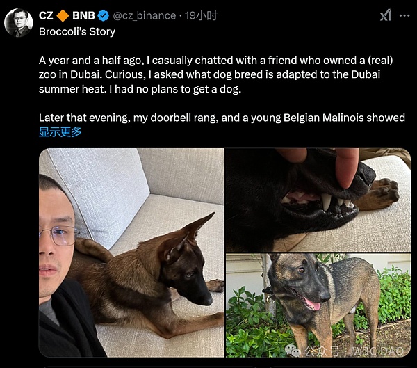 CZ宠物狗引发的Meme币闹剧：一场加密市场的混乱与反思