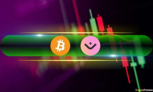 这些Altcoins飙升,比特币(BTC)稳定在97,000美元以上(周末观察)
