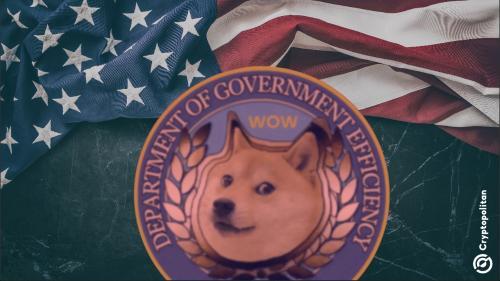 美国监管机构支持埃隆·马斯克的D.O.G.E计划，但对其激进策略表示担忧