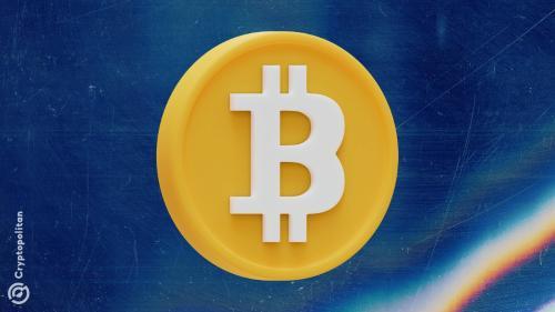 比特币市场主导地位攀升至60%，模因币与波动性挣扎
