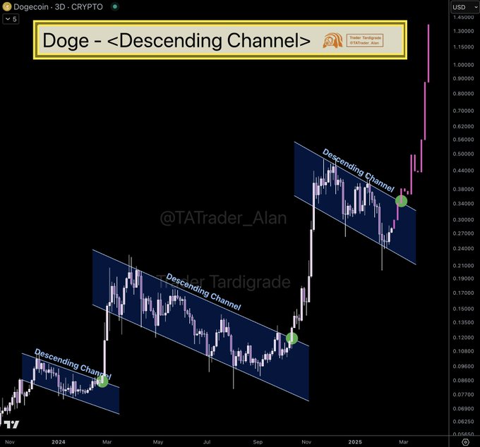 专家预测：Dogecoin即将迎来新一轮突破，上涨潜力巨大
