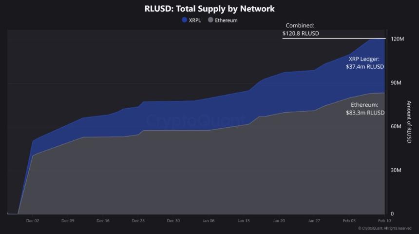 RLUSD按网络分布的供应量