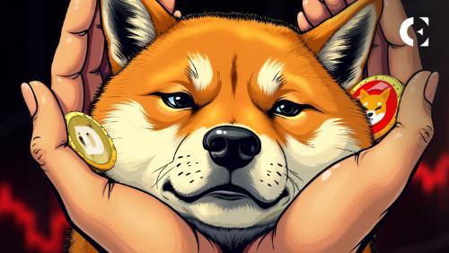 模因币市场崩溃？Shiba INU或成转折关键