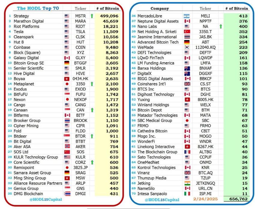 比特币采用集会，因为2024年购买了80％的上市公司：报告