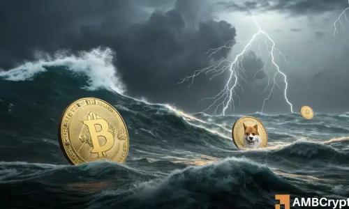 模因币两个月内暴跌超51%，行业前景堪忧