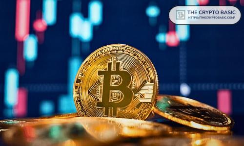 Bitwise首席投资官称现在是购买比特币的最佳时机