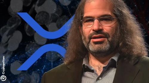 Ripple CTO回应XRP争议：公司有权出售代币以支持运营