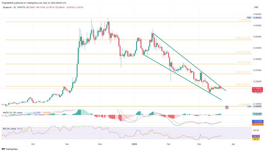 Dogecoin价格图表