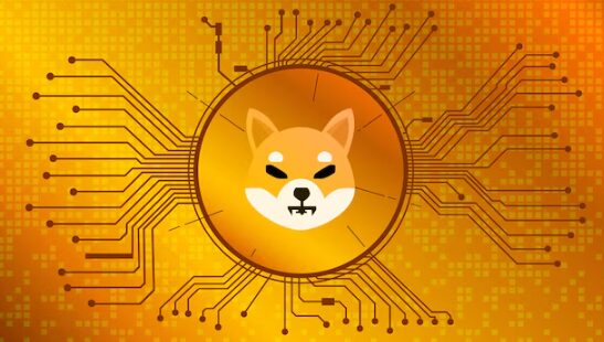 金色柴犬币在黄橙色背景上