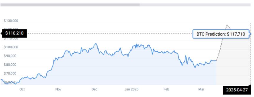 BTC STATS