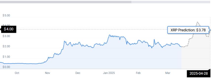 XRP STATS
