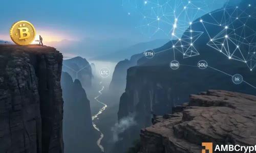 比特币价格持稳，Altcoins遭遇深度调整：市场分化的原因与影响
