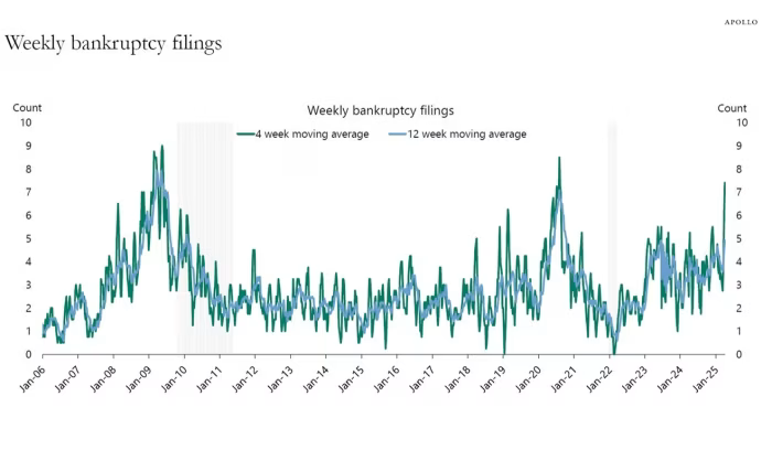 Weekly bankruptcy filings