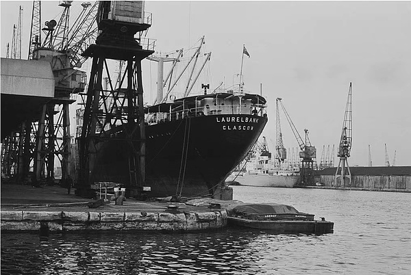 7363187 CI0wgwfnTMjYdw4oZ0srN1zgPaeliRgn3fAIhawq.png