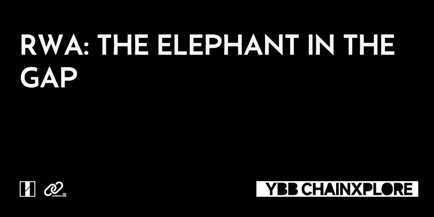 RWA：夹缝中的大象