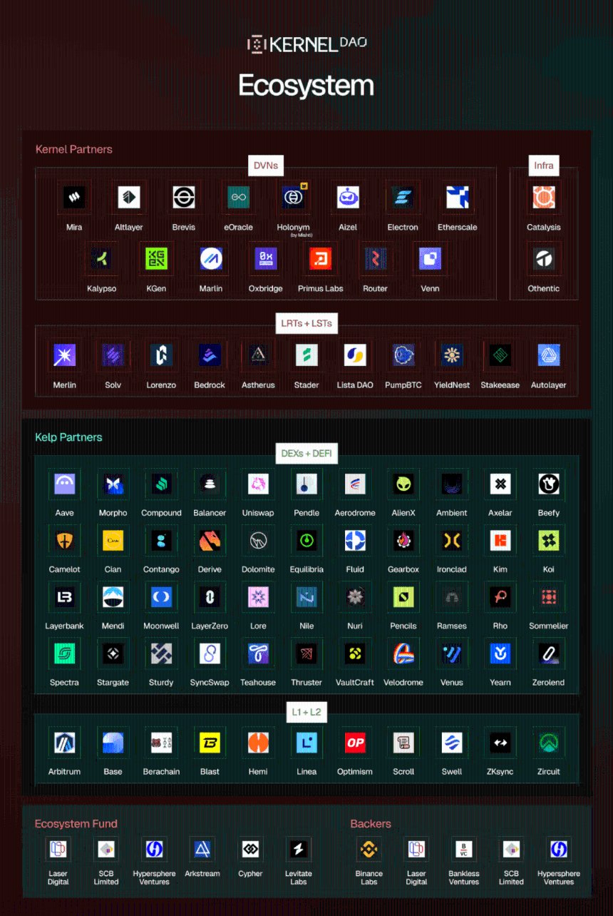 KernelDAO是什么？一文看懂KERNEL币价上涨的背后逻辑