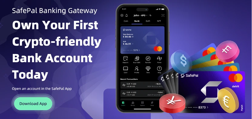 从申请流程到费率，深度对比十大加密支付卡