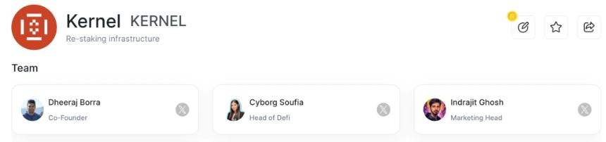 KernelDAO是什么？一文看懂KERNEL币价上涨的背后逻辑