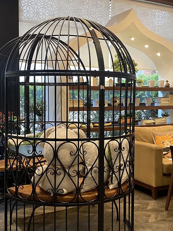 清迈数字游民大量流失 低成本生活背后的理想与现实