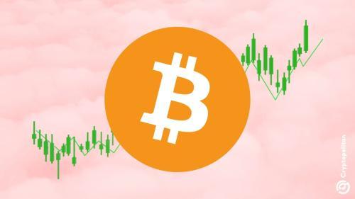 比特币ETF连续七天资金流入,市场看涨情绪高涨