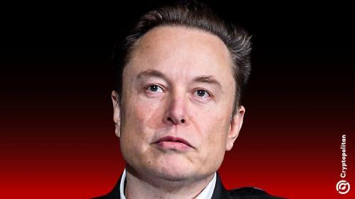 特斯拉与埃隆·马斯克否认《华尔街日报》关于寻找继任CEO的报道