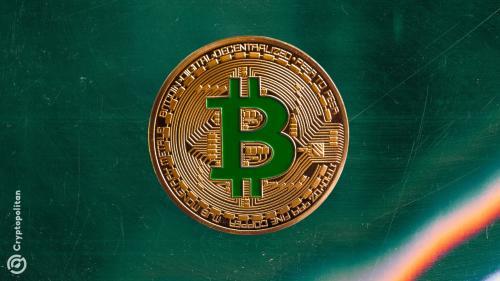 比特币逐渐展现黄金替代品的潜力