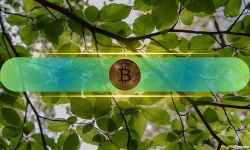 比特币再现积累结构，BTC价格突破96,000美元