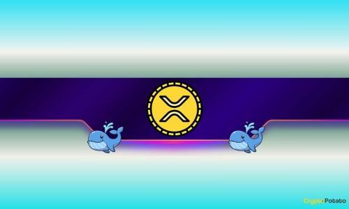 巨鲸一个月内购入9亿XRP:Ripple市场布局引发猜测
