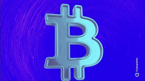 长期比特币持有者重新进入积累阶段,市场情绪逐步回暖