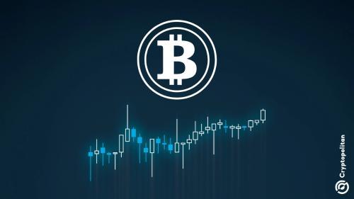交易者豪赌XRP等加密货币,获利超900万美元