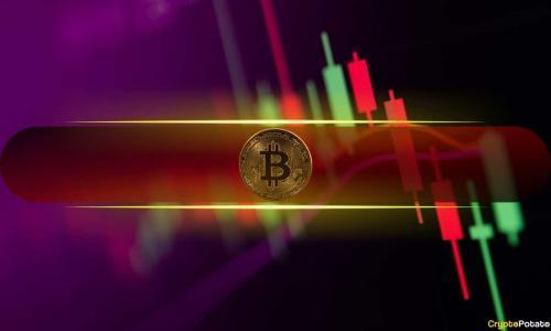 比特币跌破96,000美元,特朗普相关代币单日暴跌14%