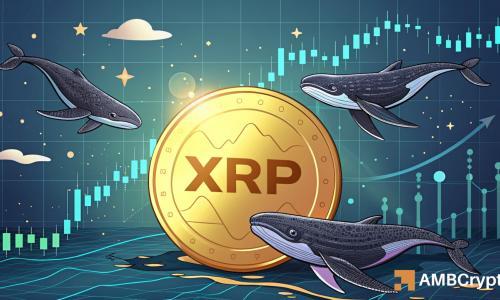 XRP价格在6400万美元鲸鱼交易后将如何演变?