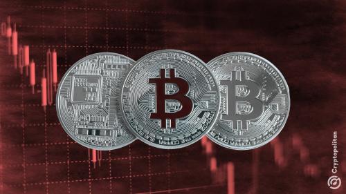 比特币ETF周流入量骤降40%,BTC价格跌破95,000美元