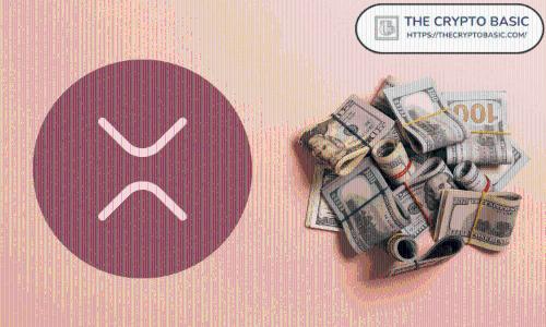 专家建议:投资者应根据自身能力合理持有XRP