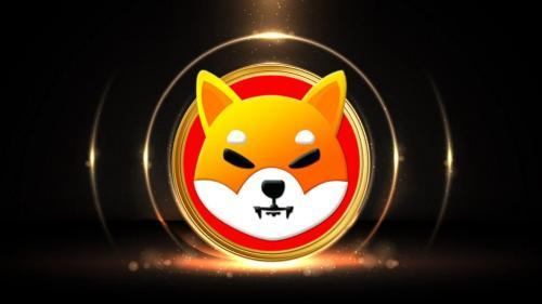 Shiba Inu:2025年投资SHIB前需了解的两大关键要点