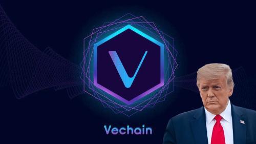Vechain有望超越特朗普硬币:市场动态与未来展望