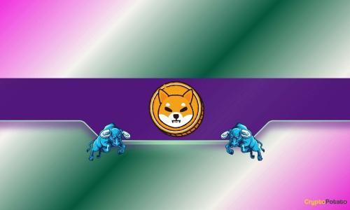 Shiba Inu(SHIB)可能迎来价格反弹的三大原因