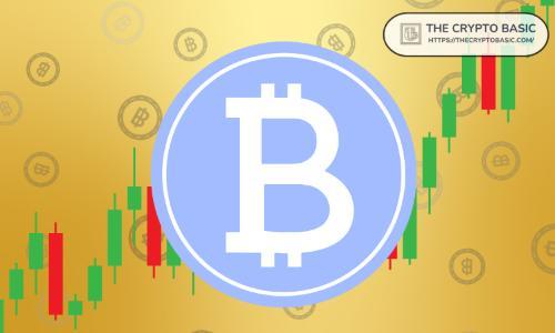 比特币突破在即:大钱包积累推动市场看涨情绪