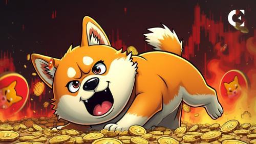 鲸鱼活动加剧：Shiba Inu燃烧速率飙升468,000%，市场信号复杂