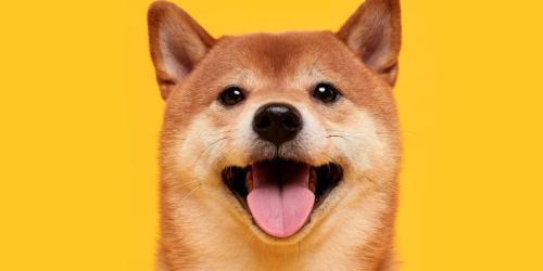 Dog<span class='keyword'>ecoin</span>价格预测与教皇选举：加密市场与全球事件的交汇