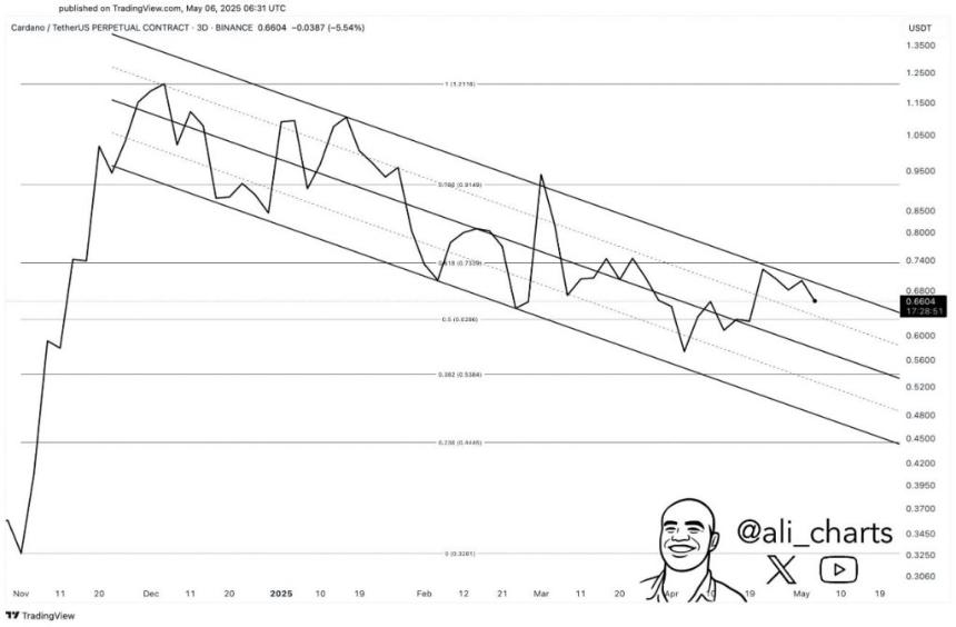 Cardano whale accumulation