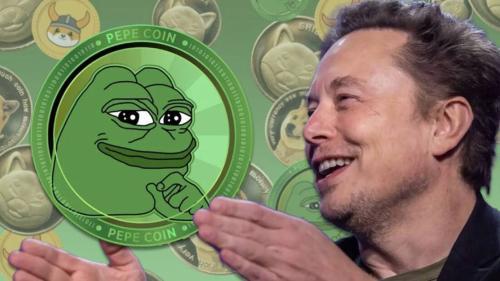 在马斯克首次发布Pepe模因后,投资1000美元的回报如何?