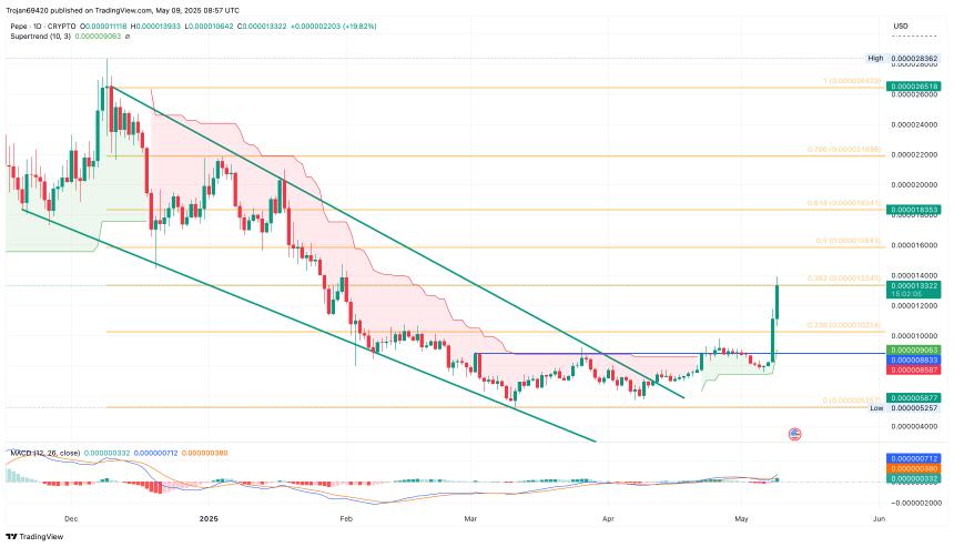 Pepe Price Chart