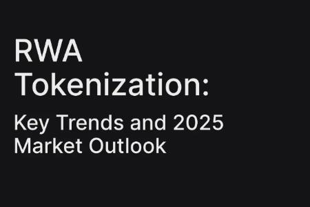 转载解读丨RWA 代币化：关键趋势和 2025 年市场展望