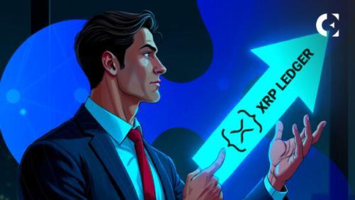 XRP链上DeFi新纪元:Doppler Finance引领“XRP-FI”发展