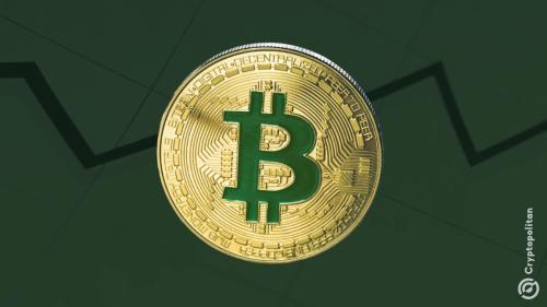 BTC进入潜在利润价格区间，市场或面临调整压力