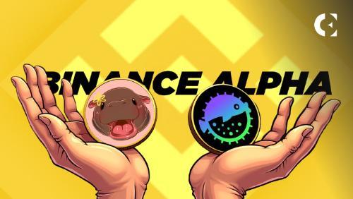 Binance Alpha项目助推后,$Puffer和$Moodeng的未来走向如何?