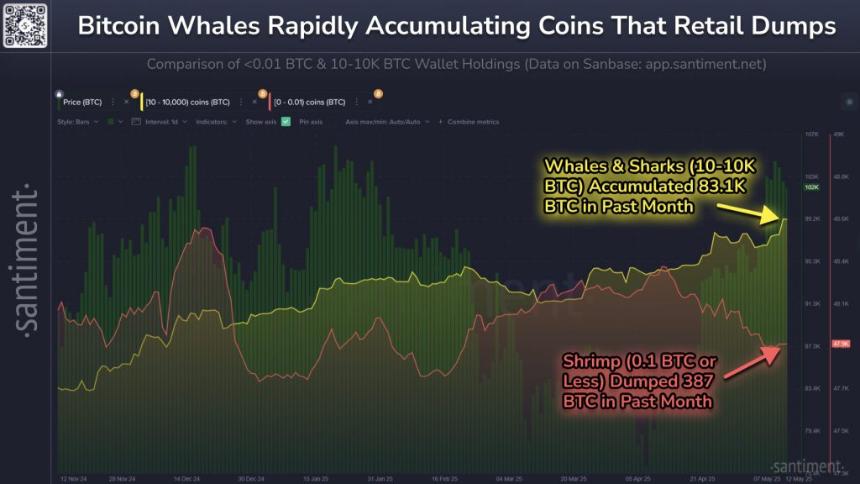 bitcoin investors